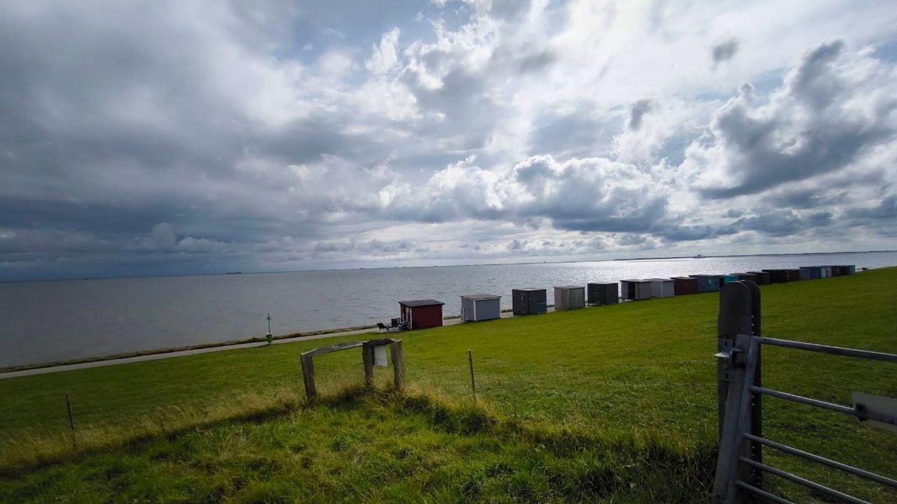 AreaSummer5KM AreaSummer5KM